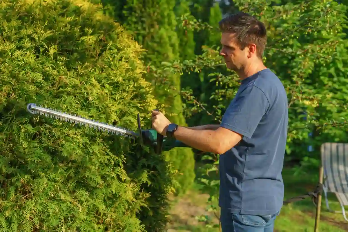 Jardineiro a cortar uma sebe verde com corta-sebes elétrico, mantendo a linha direita