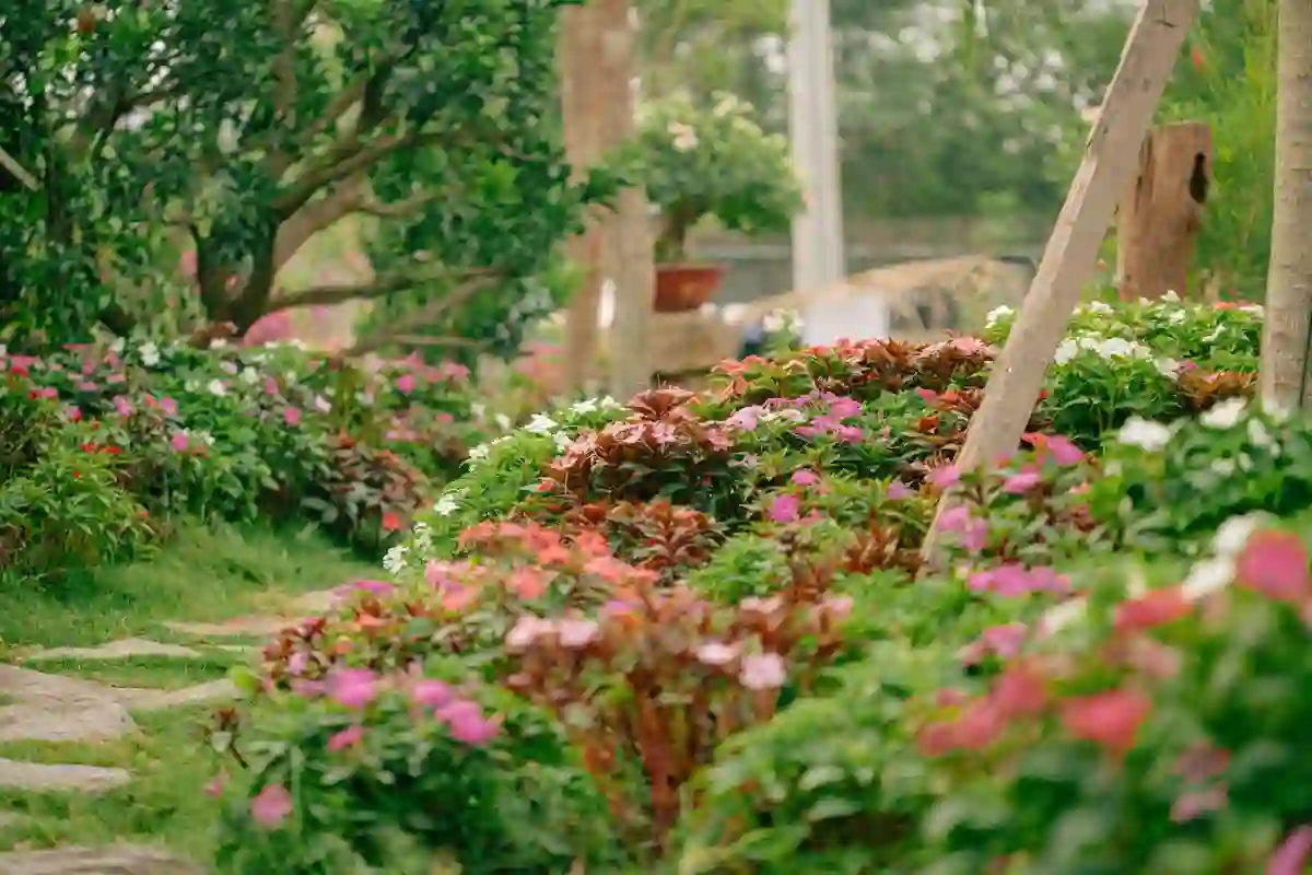 Calendário de jardinagem mês a mês no Norte