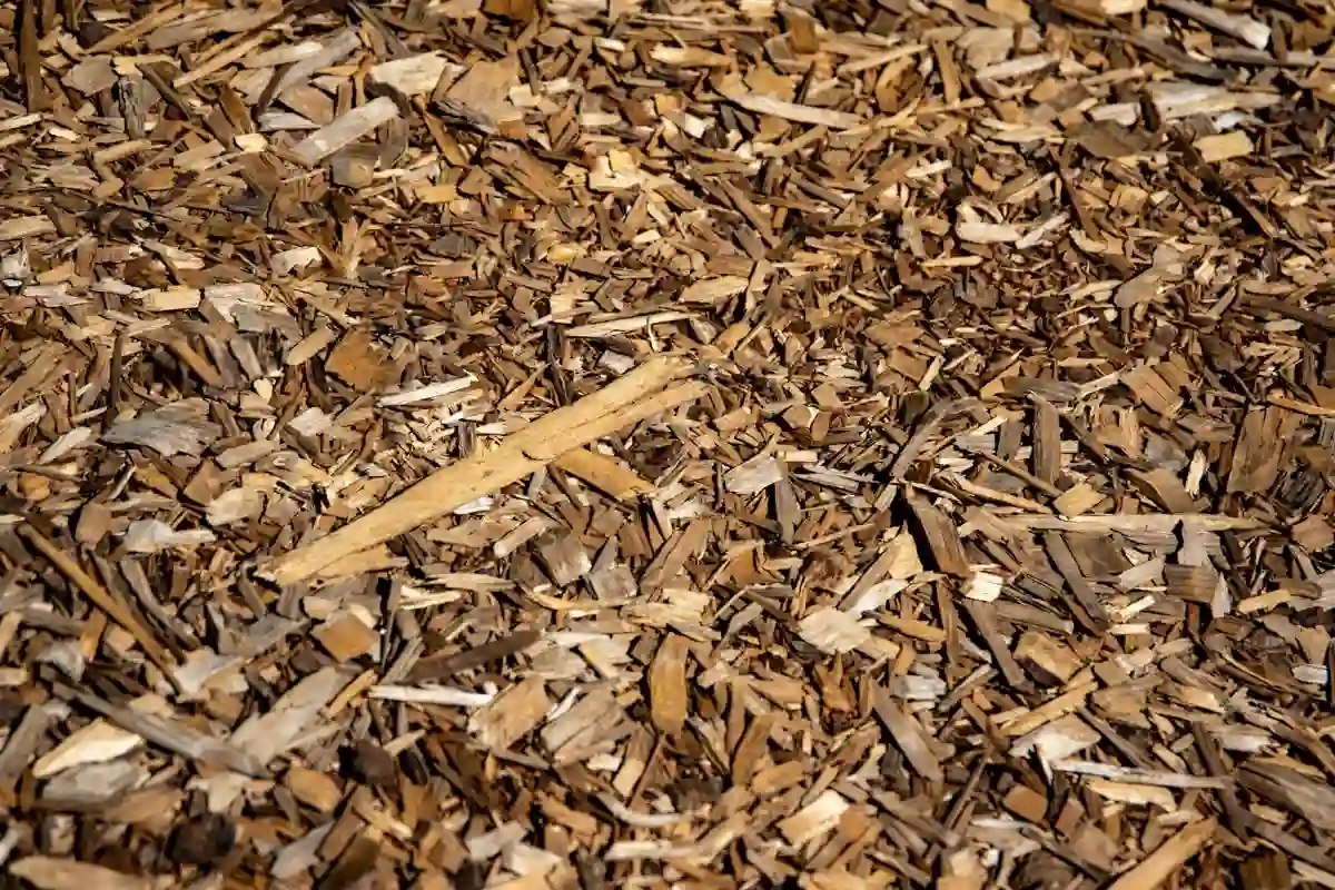 O que é mulching e porque transforma o seu jardim