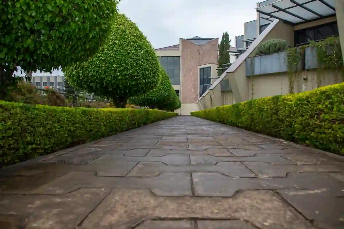 Sebe verde bem aparada a acompanhar um caminho de jardim