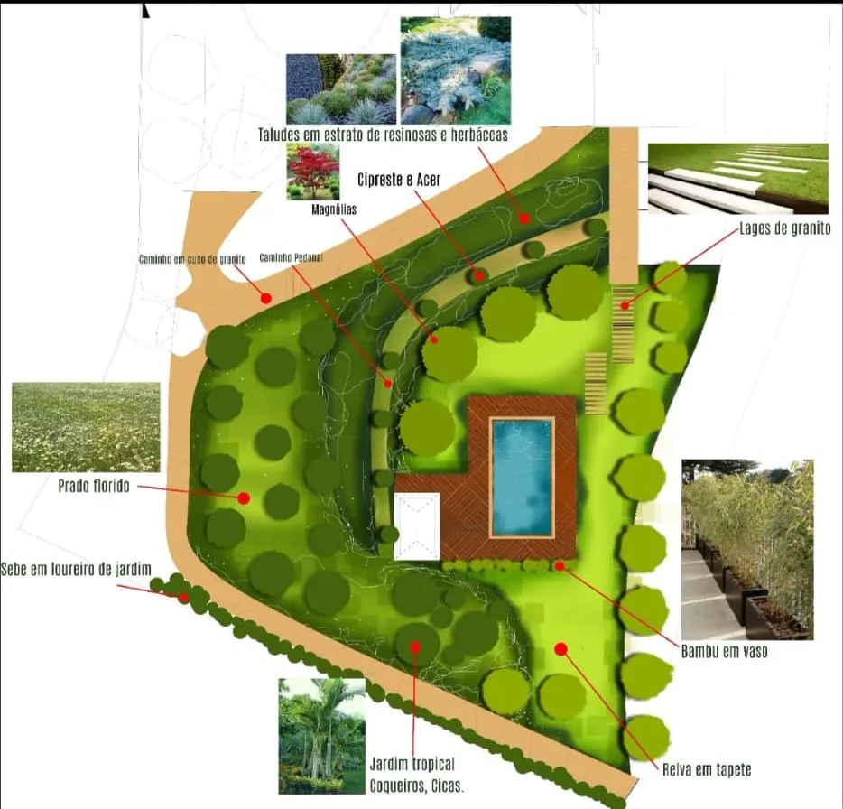 Jardim com relvado e plantação ornamental
