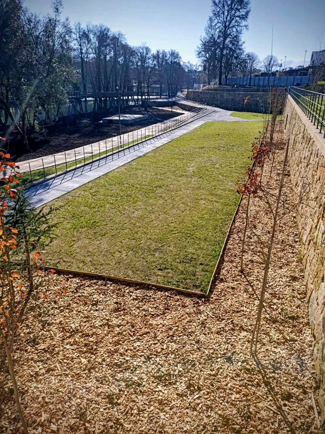 Plantação ornamental num jardim