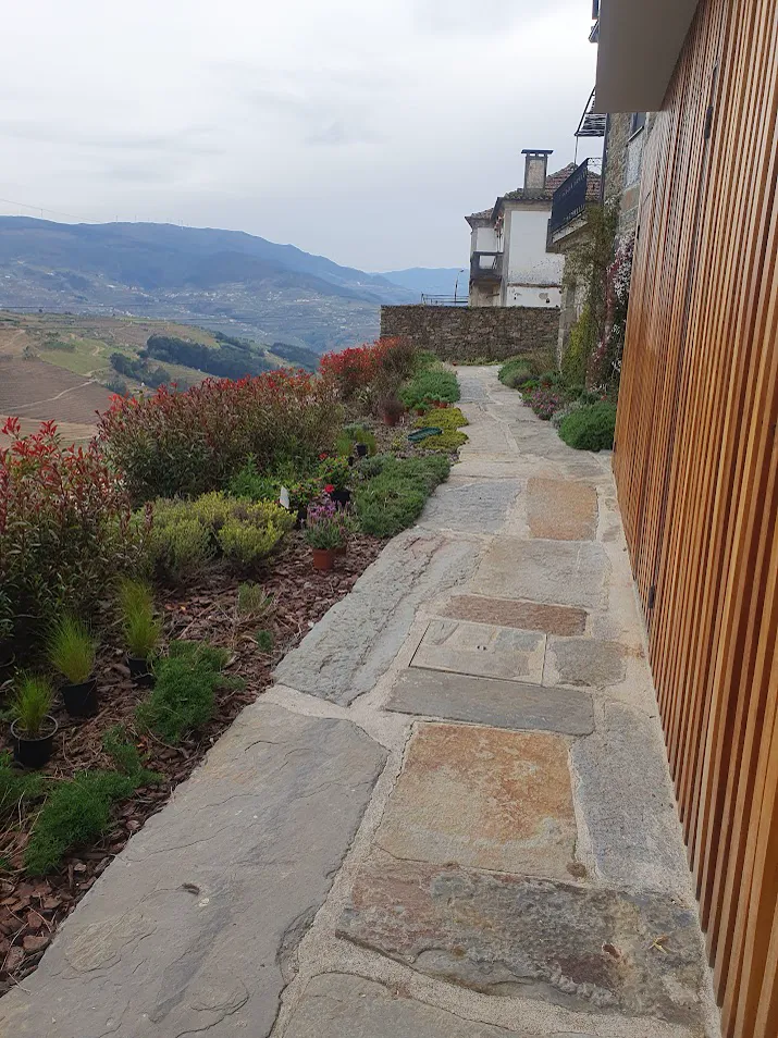 Detalhe de jardim paisagístico