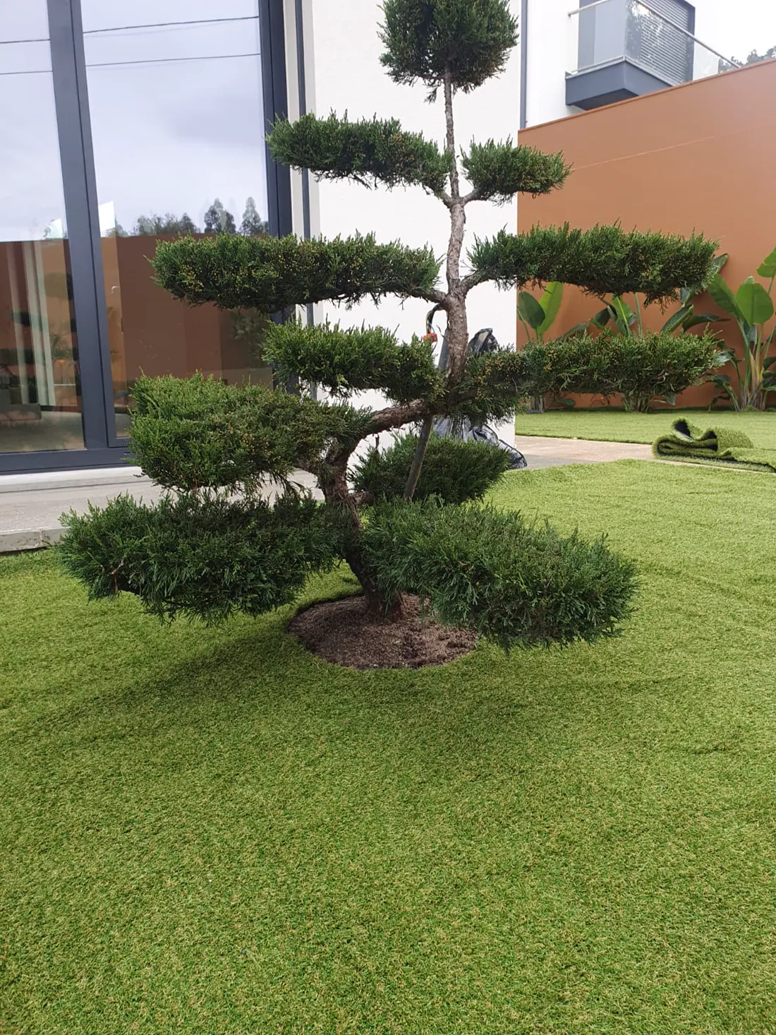 Relvado tratado num jardim