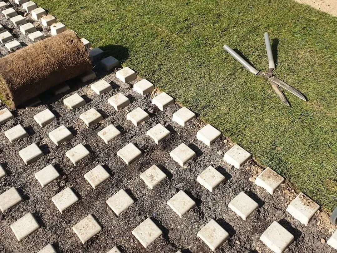 Projeto de paisagismo com relva e arbustos